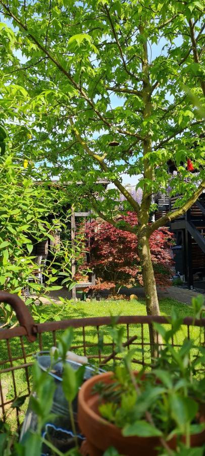 Apartment Rose Fritzlar Zewnętrze zdjęcie